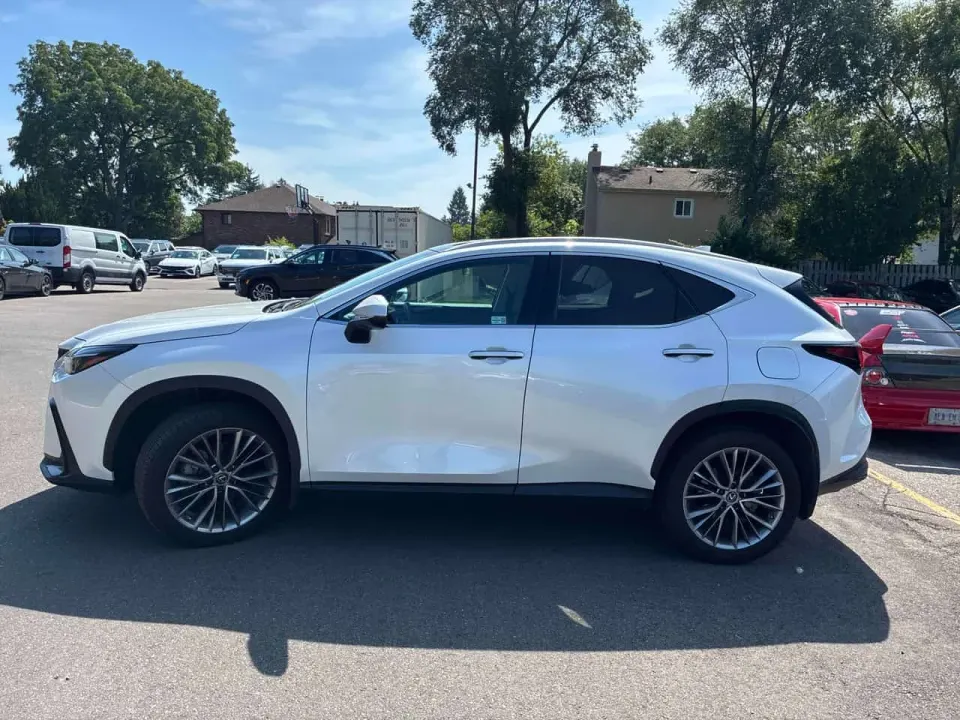 Lexus NX 350 2022