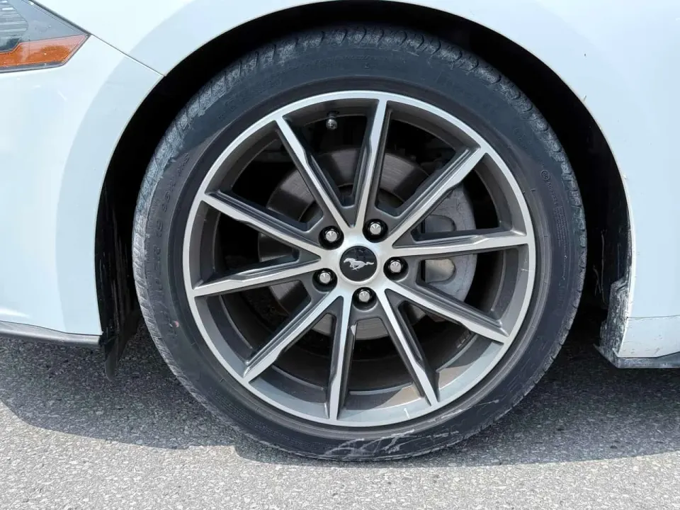Ford Mustang EcoBoost 2019