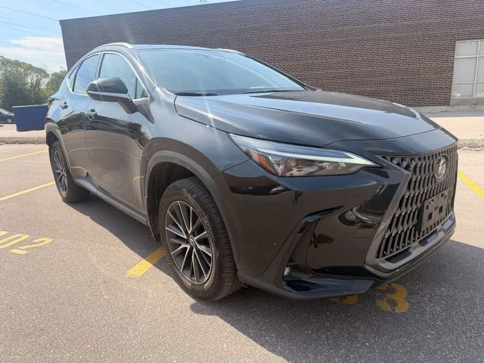 Lexus NX 350 2024