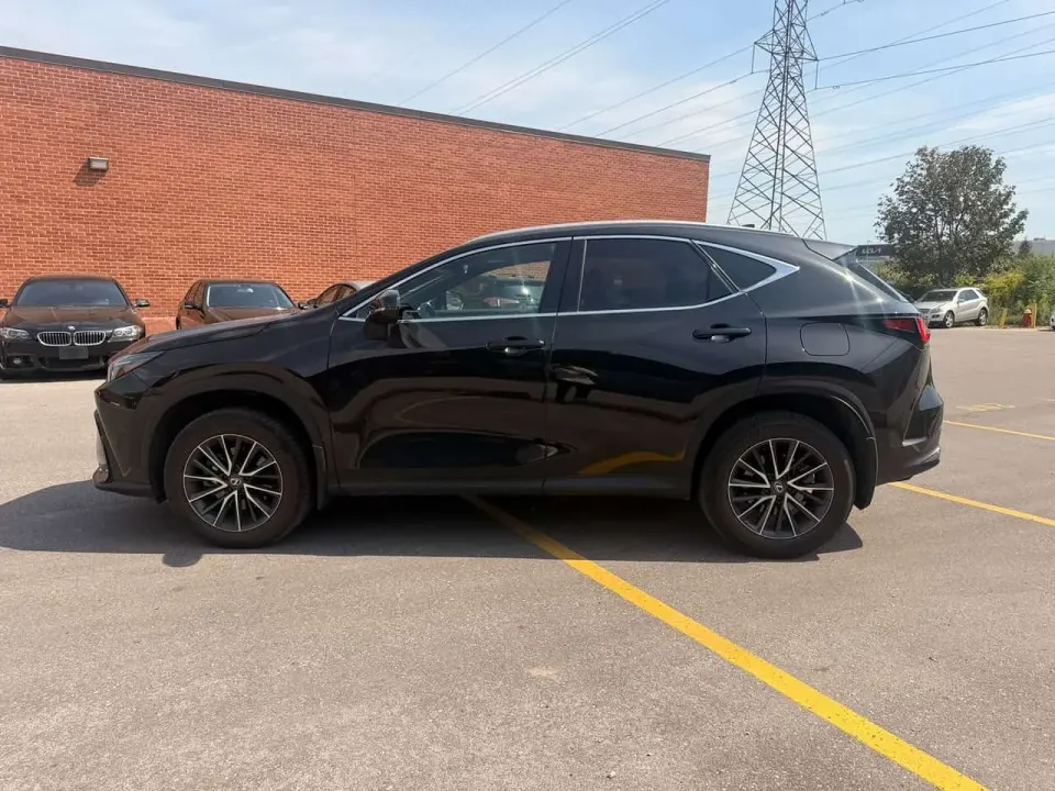 Lexus NX 350 2024