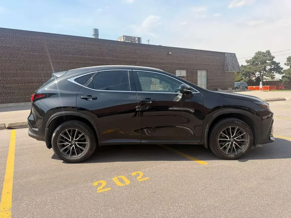 Lexus NX 350 2024