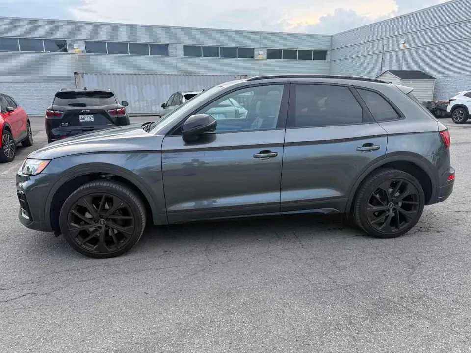 Audi SQ5 Technik 2024