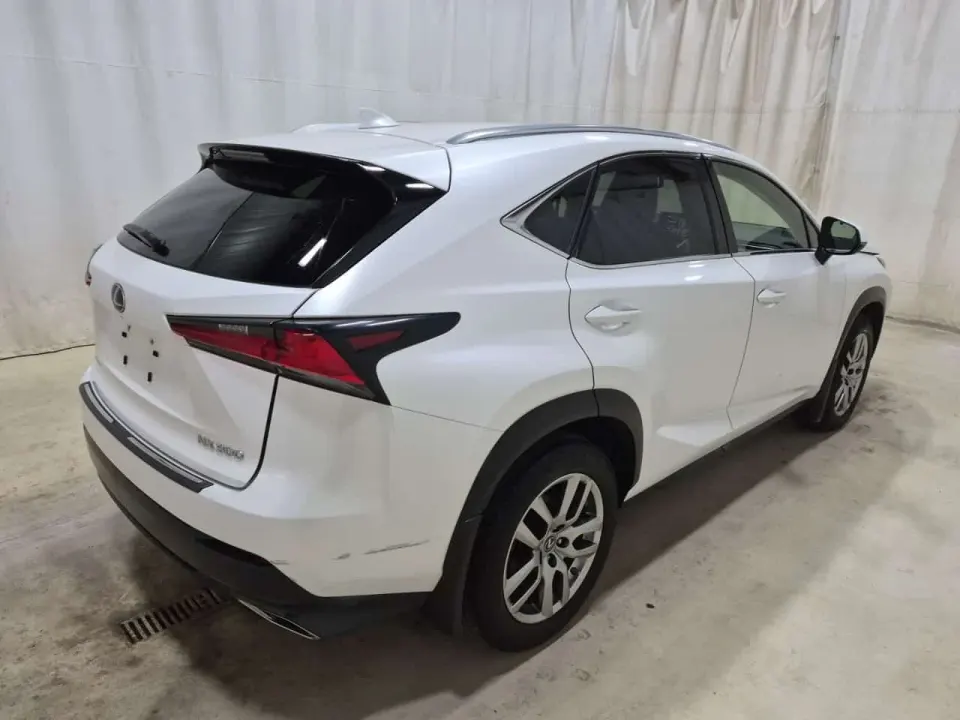 Lexus NX 300 2020
