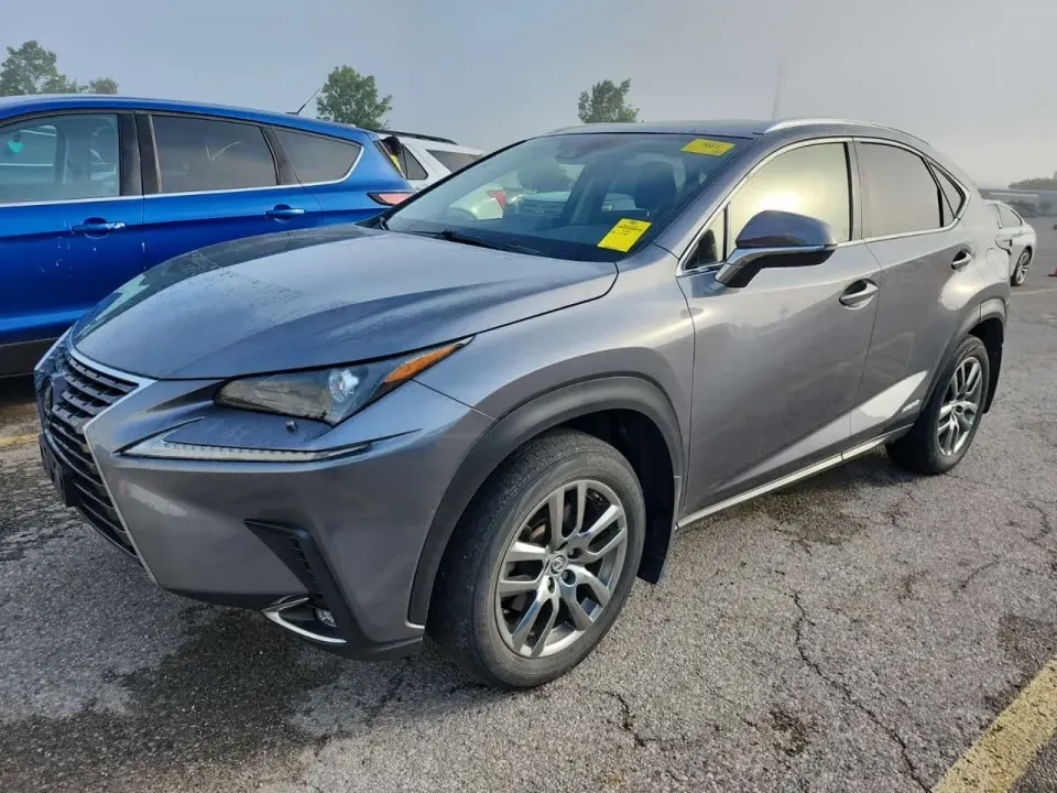 Lexus Awd Nx 300h 2020