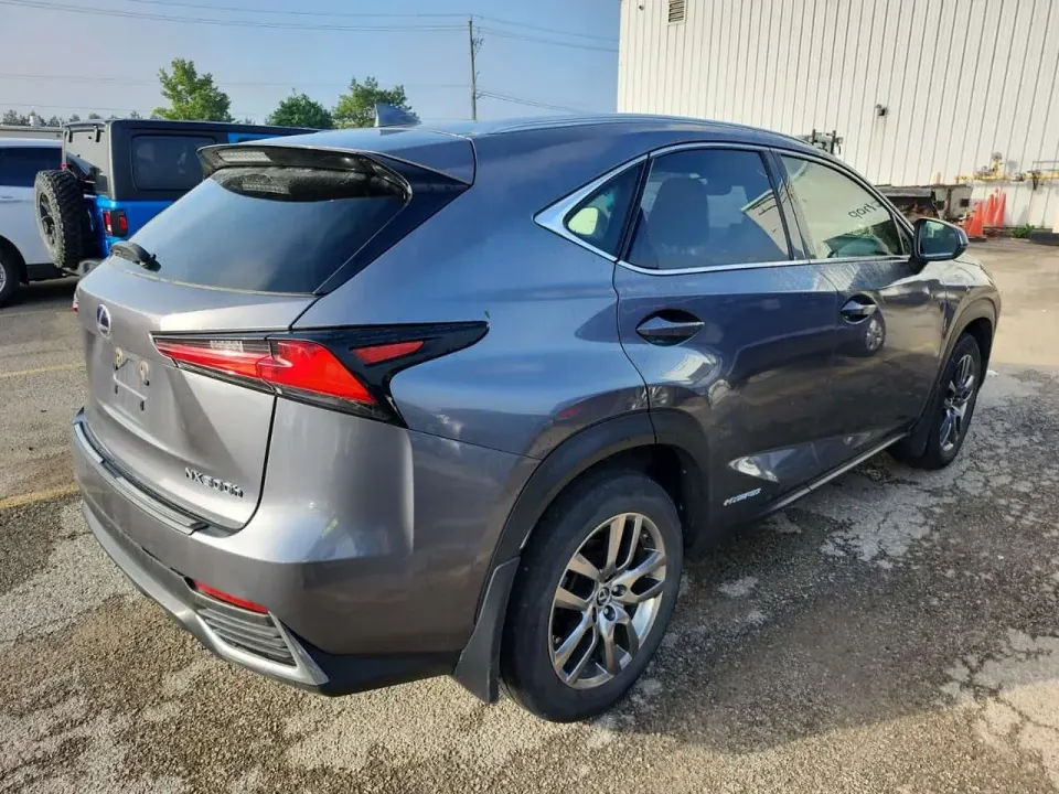 Lexus Awd Nx 300h 2020