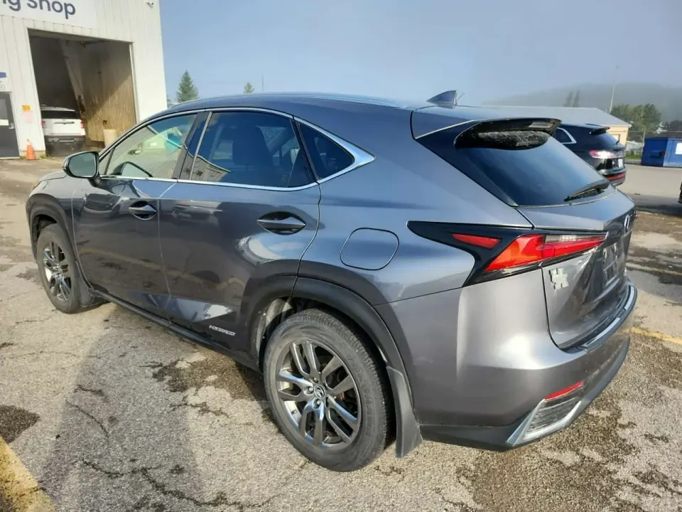 Lexus Awd Nx 300h 2020