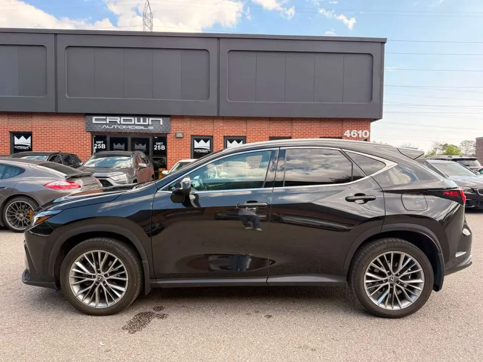 Lexus NX 350h 2022