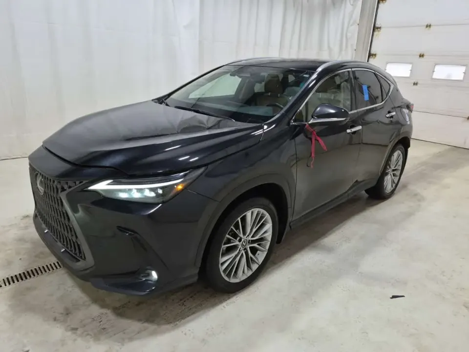 Lexus NX 350H 2024