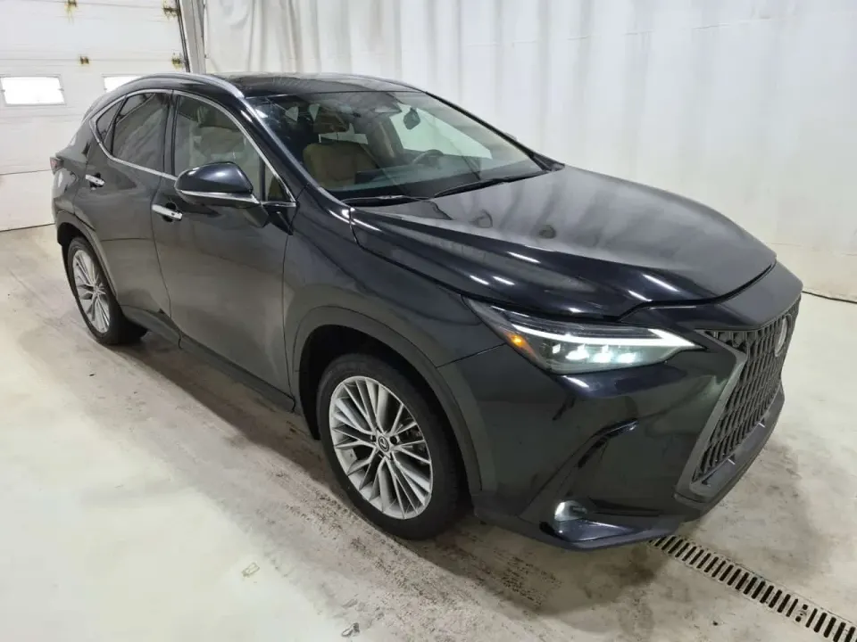 Lexus NX 350H 2024