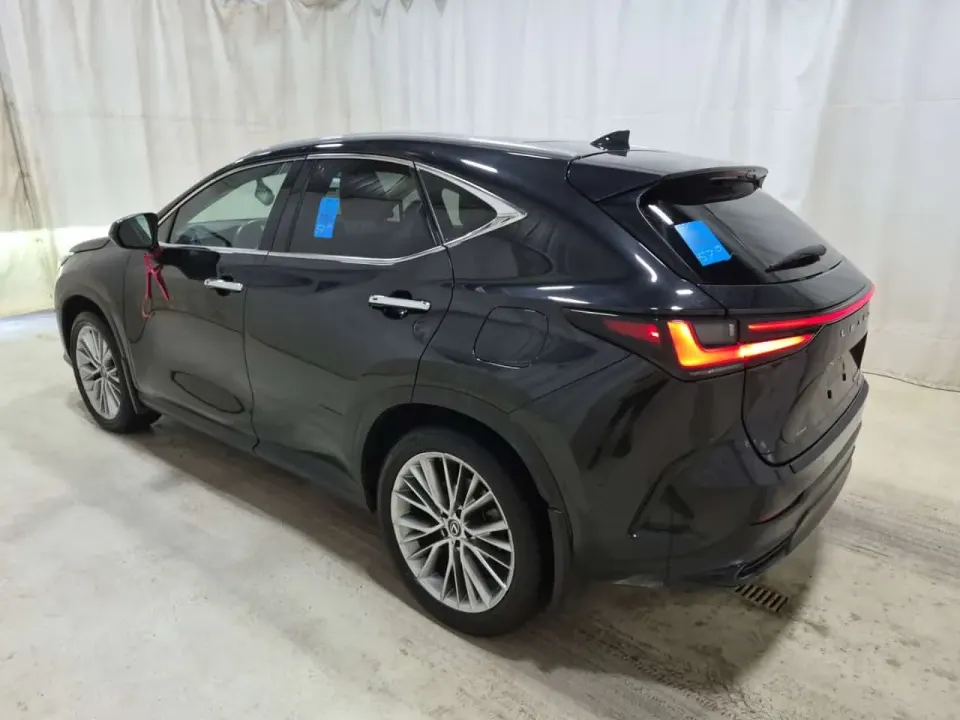 Lexus NX 350H 2024