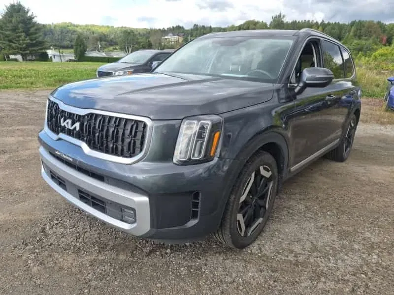 Kia Telluride 4D UTILITY AWD EX 2024