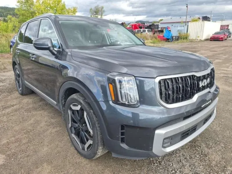 Kia Telluride 4D UTILITY AWD EX 2024