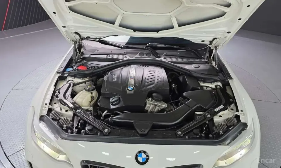 BMW M2 Coupe M Performance Steering Wheel Edition 2017
