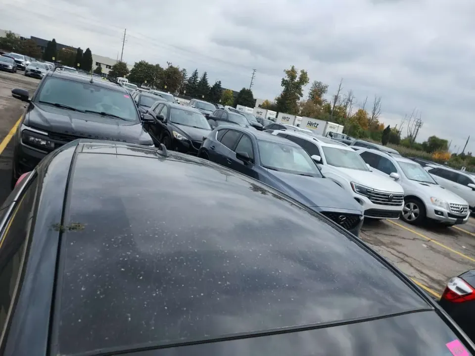 Toyota Venza Awd Limited 2021