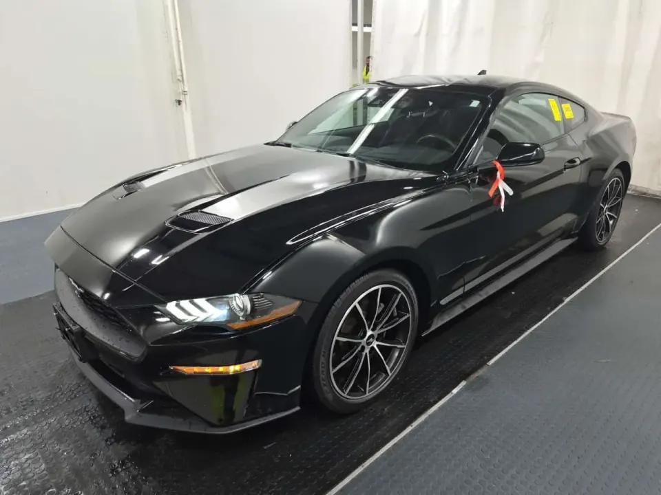 Ford Mustang Fastback Ecoboost 2022