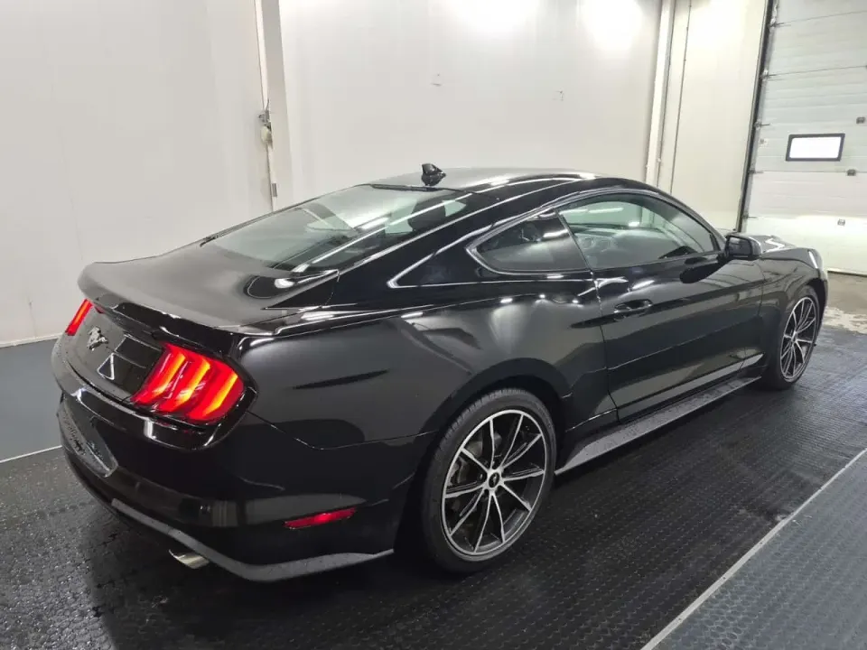 Ford Mustang Fastback Ecoboost 2022
