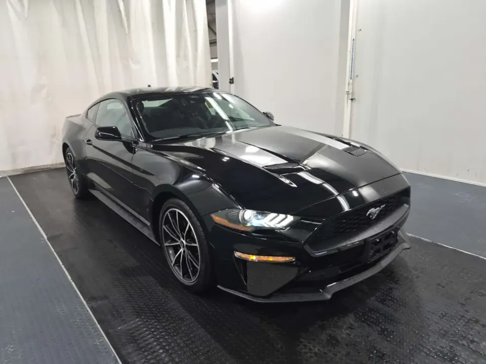 Ford Mustang Fastback Ecoboost 2022