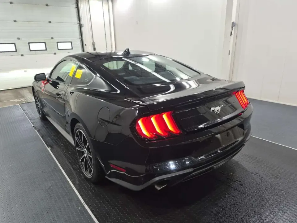 Ford Mustang Fastback Ecoboost 2022