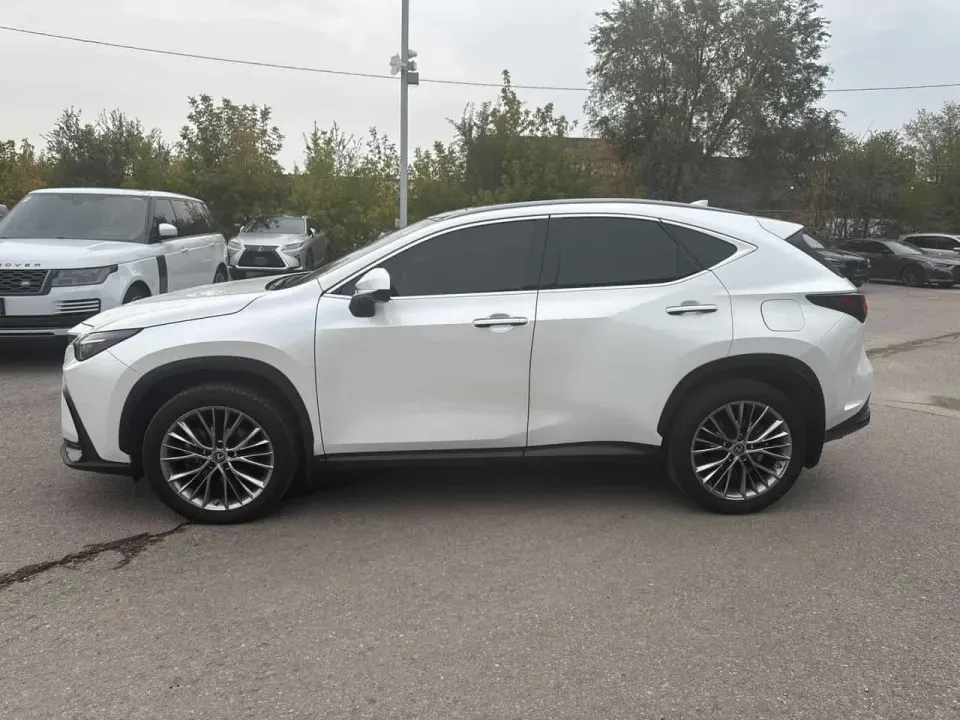 Lexus NX 350 2022