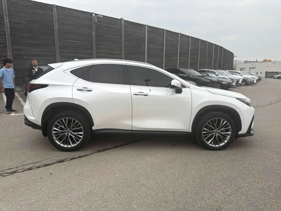 Lexus NX 350 2022
