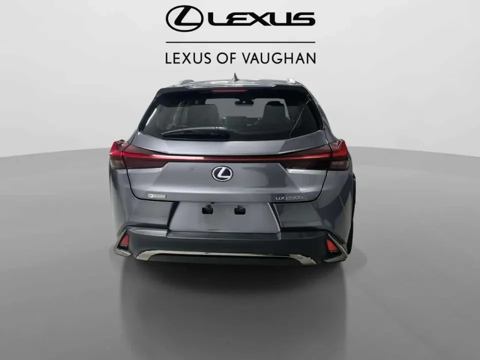 Lexus UX 250h | HYBRID | SAVE ON GAS | F SPORT 1 | 2019