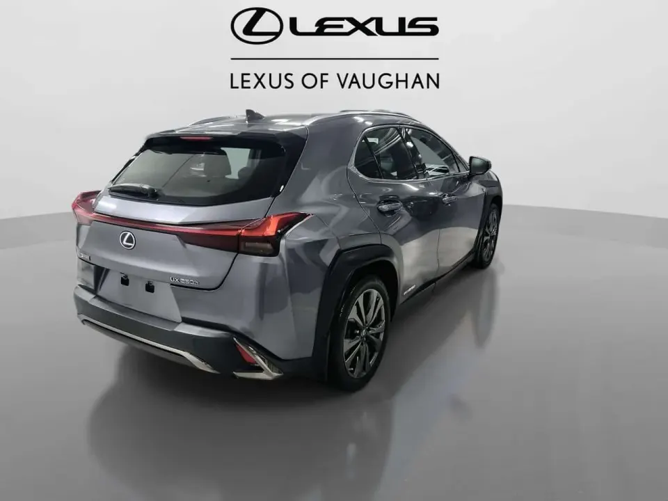 Lexus UX 250h | HYBRID | SAVE ON GAS | F SPORT 1 | 2019