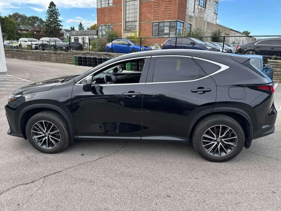 Lexus NX 250 2024