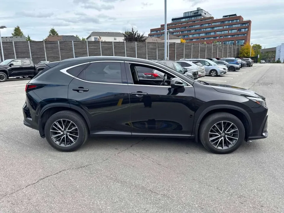 Lexus NX 250 2024