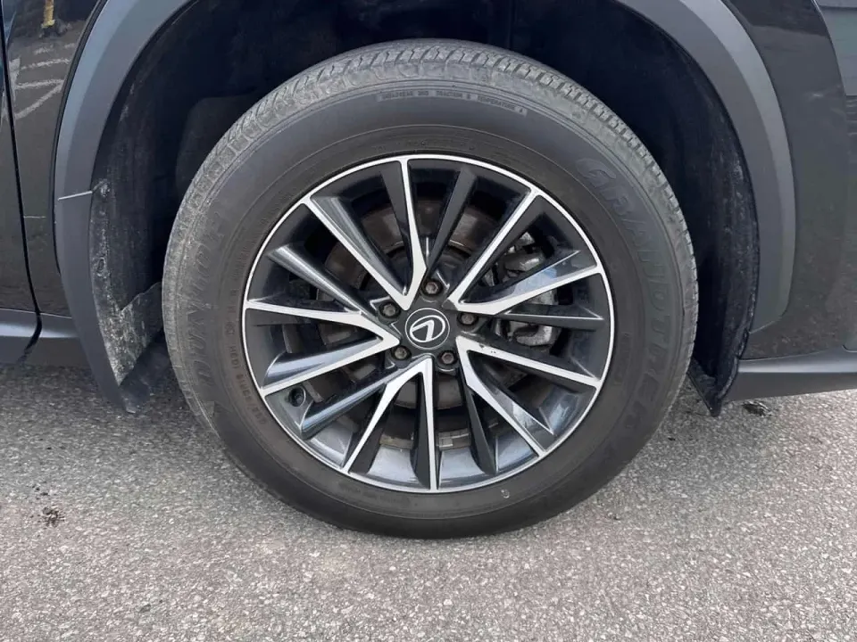 Lexus NX 250 2024