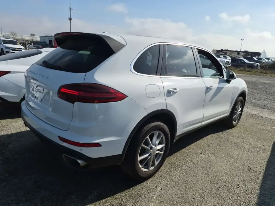 Porsche Cayenne Base / Platinum Edition 2018