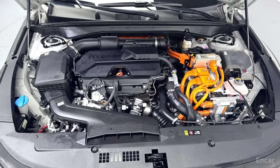 Kia K8 Noblesse 2025