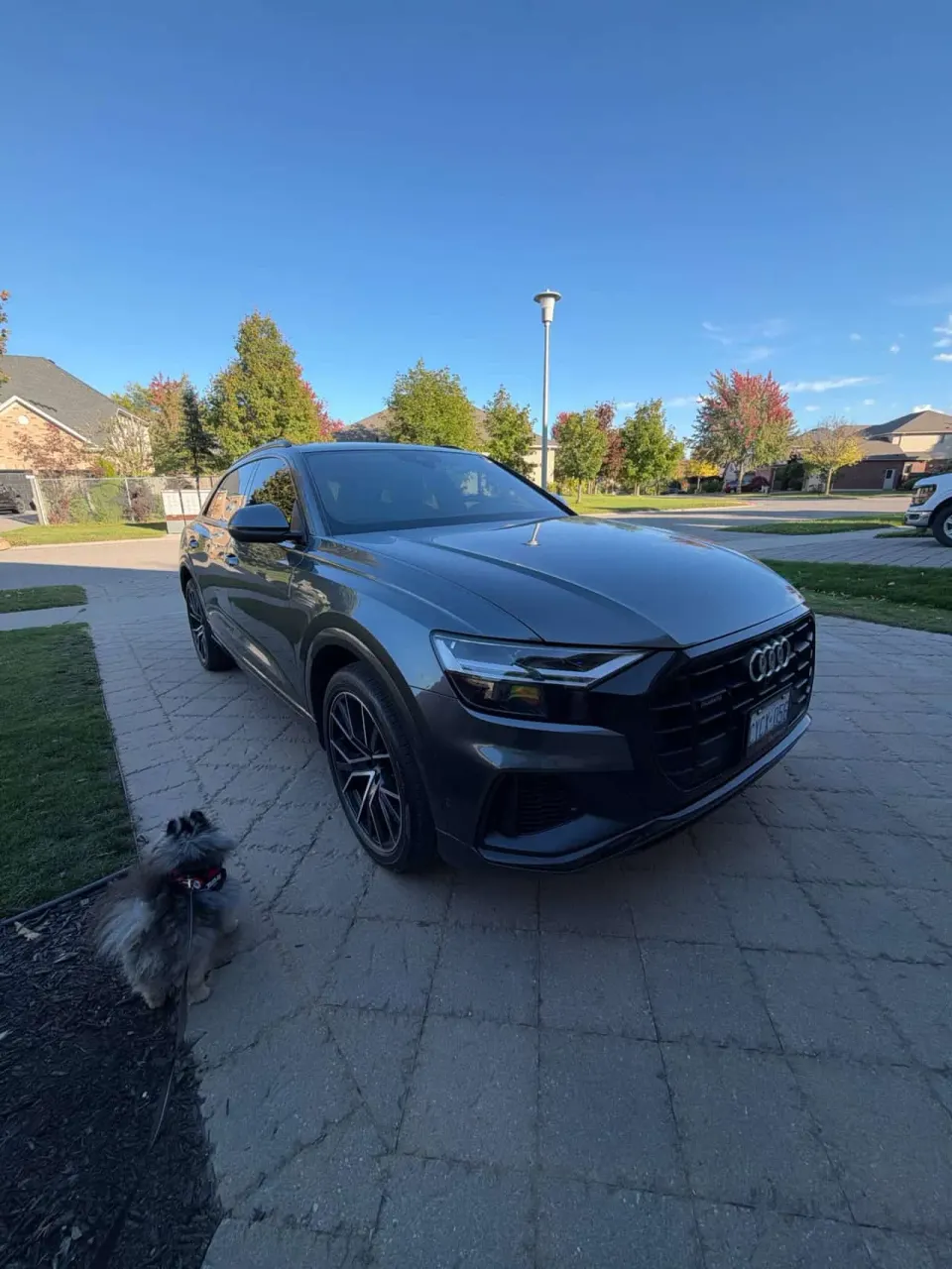Audi Q8 Progressiv 2021