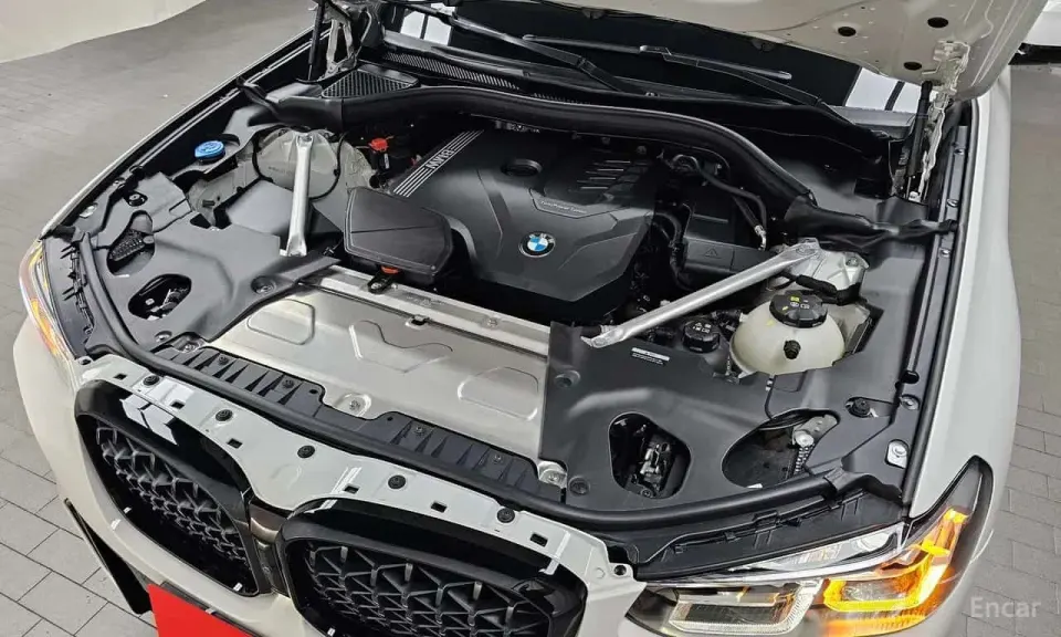 BMW X4 xDrive20i M Sport Pro Special Edition 2025