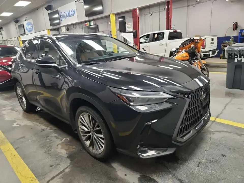 Lexus Awd Nx 350h 2022