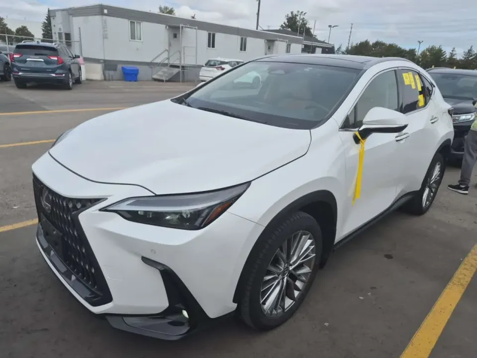 Lexus Awd Nx 350h 2024