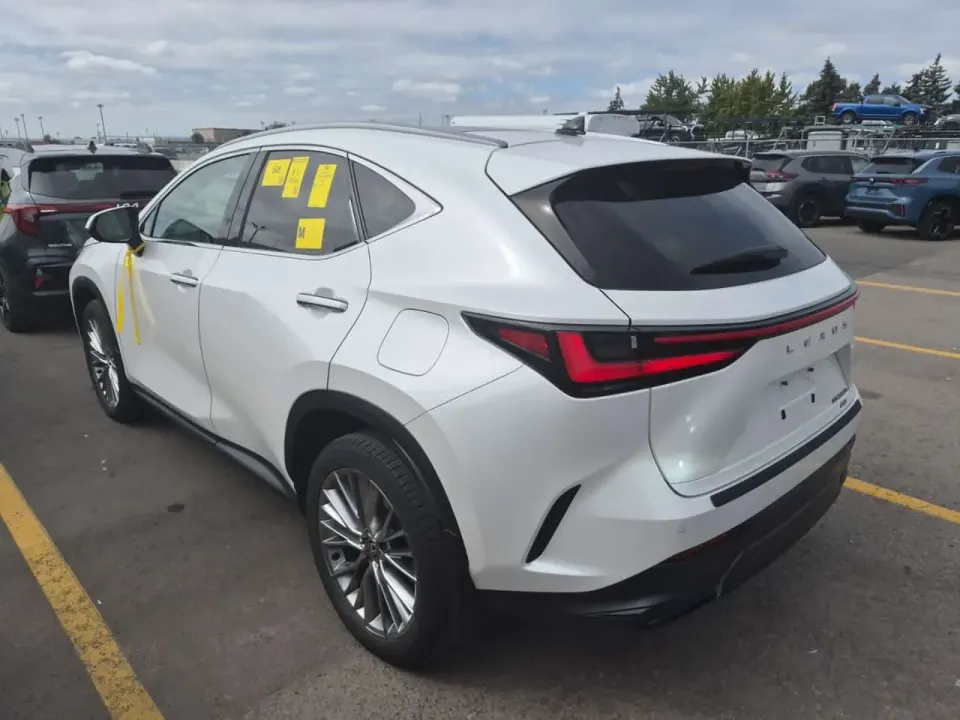 Lexus Awd Nx 350h 2024