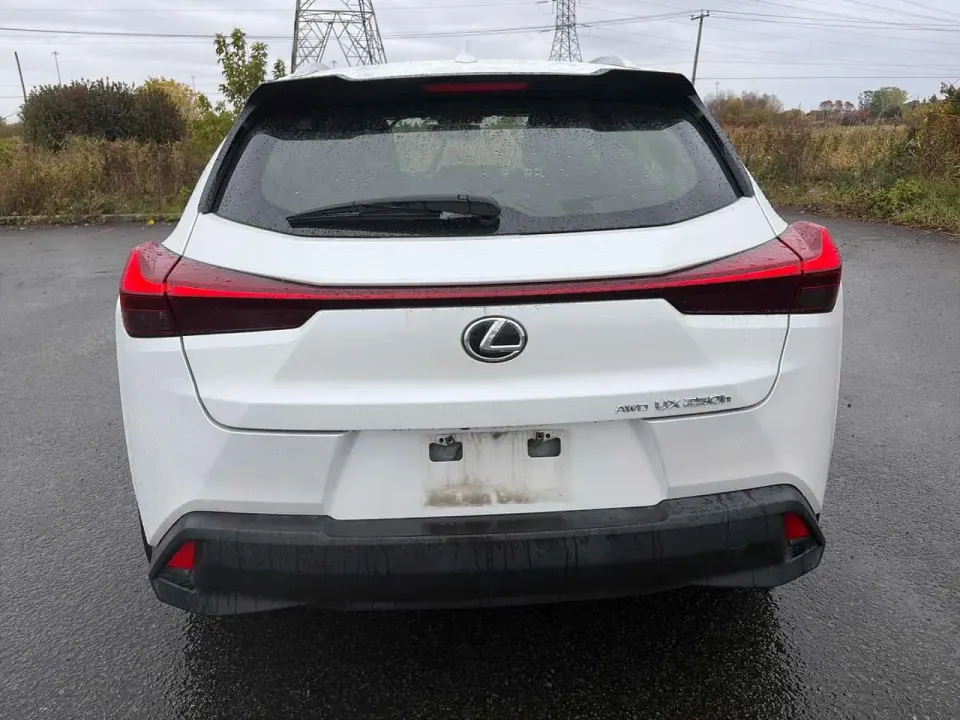 Lexus UX 250h 2024