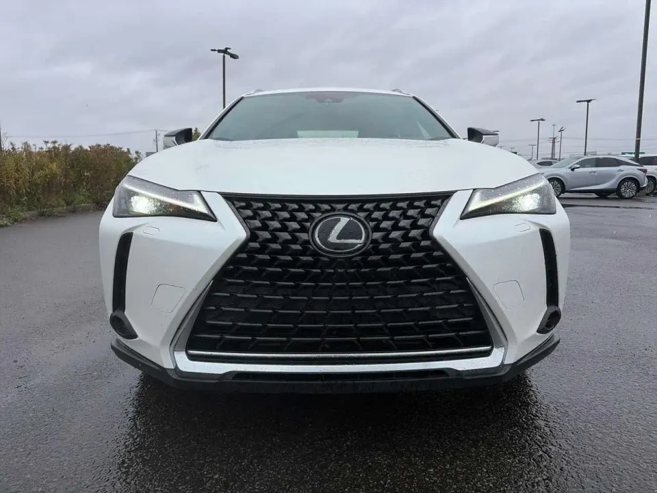 Lexus UX 250h 2024