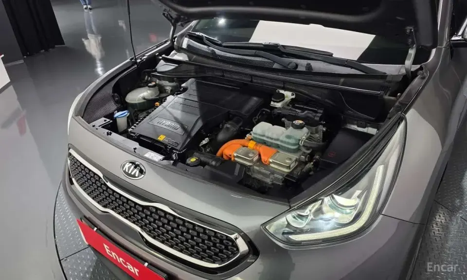 Kia Niro Noblesse 2017
