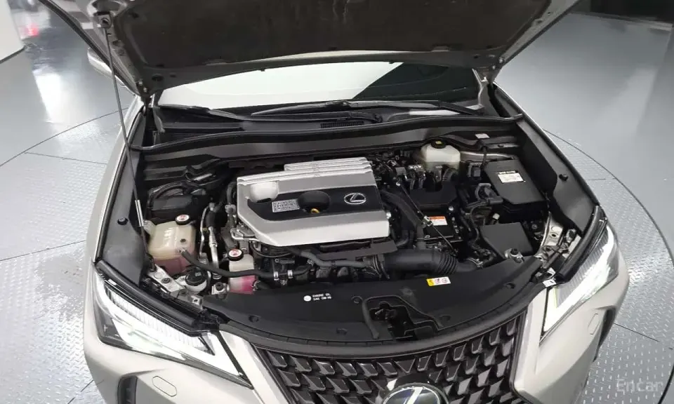 Lexus UX 2.0 2WD 2019