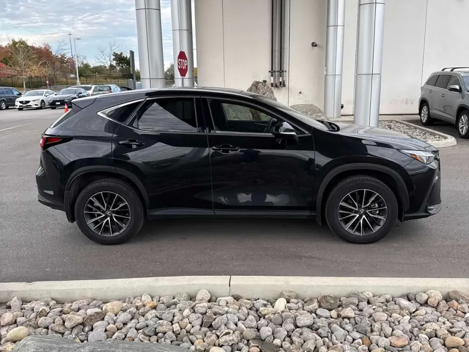 Lexus NX 350h 2025