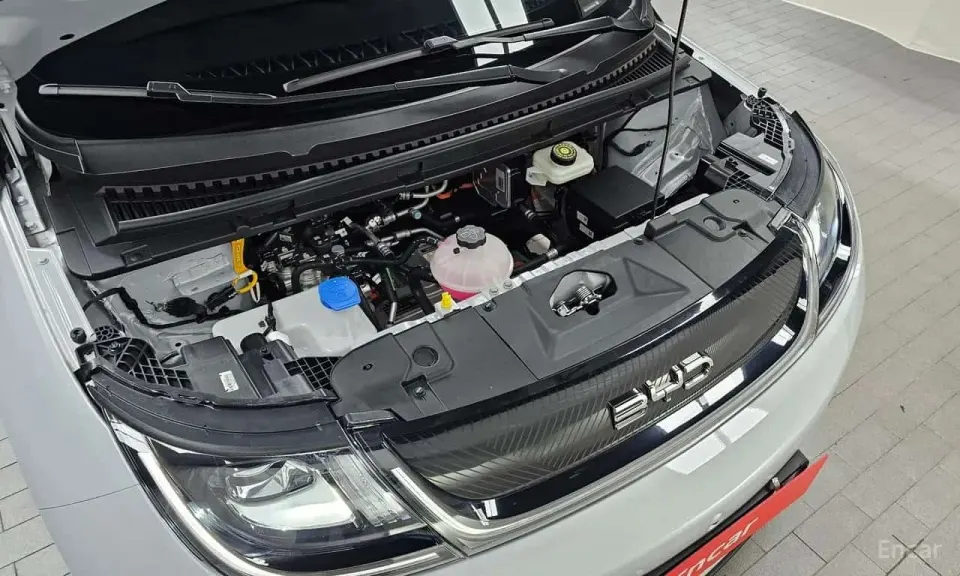 BYD Dolphin Base 2026